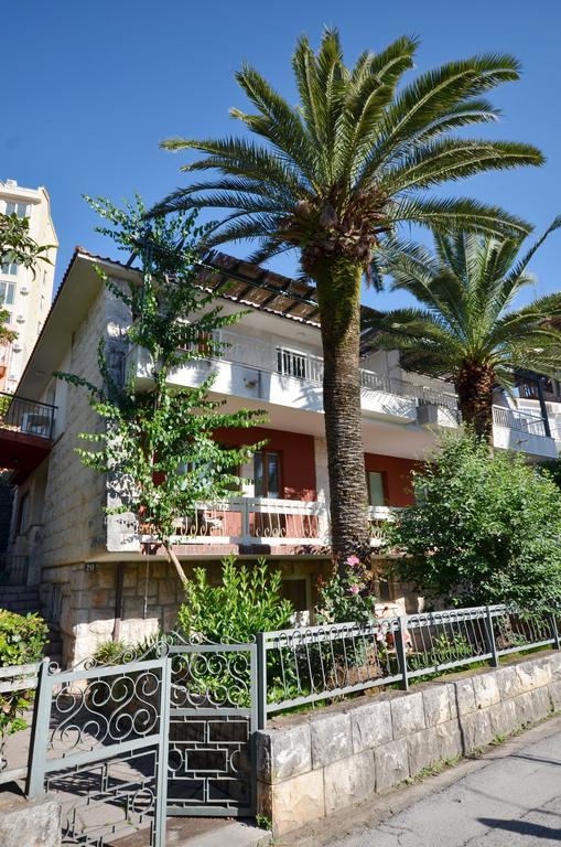 Palunko Budva